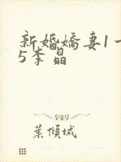 新婚娇妻1一25李晶