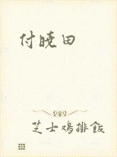 付晓田