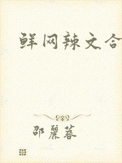 鲜网辣文合集