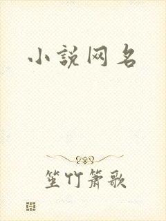 小说网名