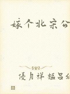 嫁个北宋公务员