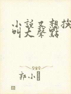 小说又想挨C了叫大声点