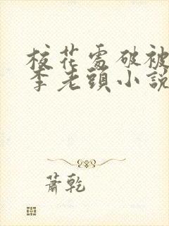 校花处破被灌满李老头小说