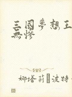 三国梦想王元姬无惨
