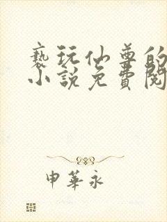 亵玩仙尊的道侣小说免费阅读