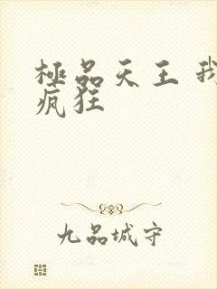 极品天王 我本疯狂