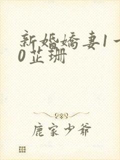 新婚娇妻1一40芷珊