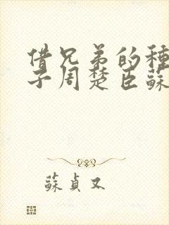 借兄弟的种生孩子周楚臣苏糖