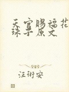 天官赐福花怜塞珠子原文
