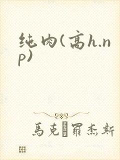 纯肉(高h.np)