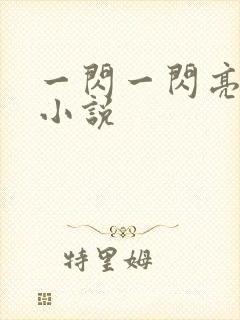 一闪一闪亮星星小说