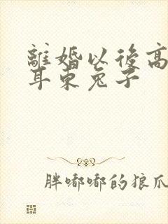 离婚以后高干 耳东兔子