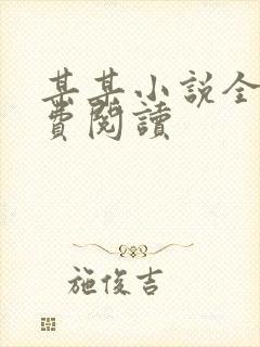 某某小说全文免费阅读