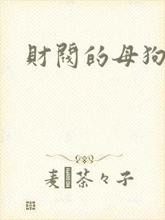 财阀的母狗们