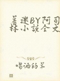 着迷BY阿司匹林小说全文免费阅读