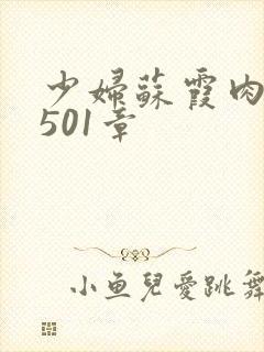 少妇苏霞肉欲第501章