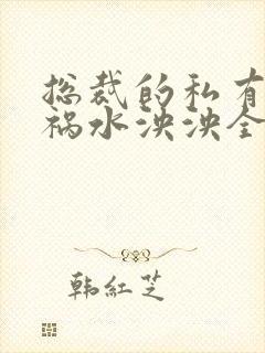 总裁的私有宝贝祸水泱泱全文阅读