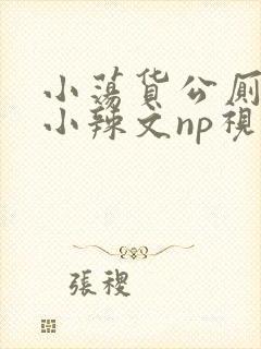 小荡货公厕h文小辣文np视频