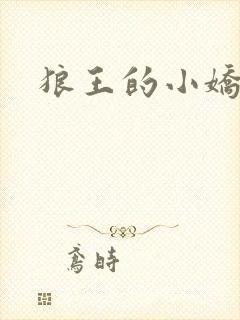 狼王的小娇妻