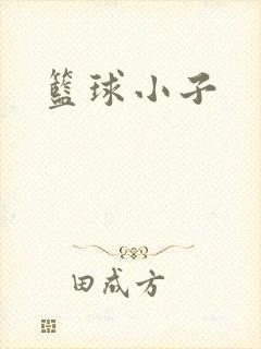 篮球小子