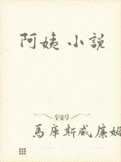 阿姨 小说