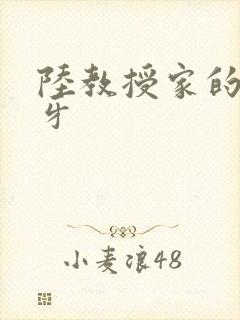 陆教授家的小月牙