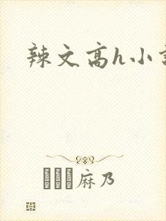 辣文高h小说