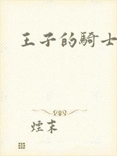 王子的骑士小说