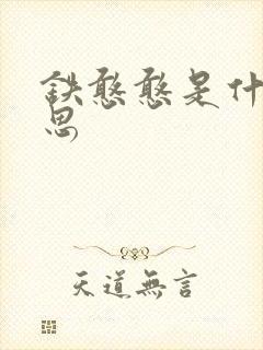 铁憨憨是什么意思