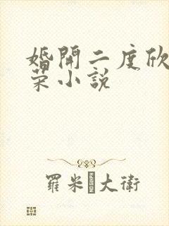 婚开二度欣欣向荣小说