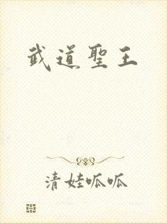 武道圣王