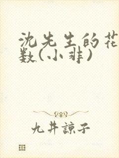 沈先生的花式调数(小非)