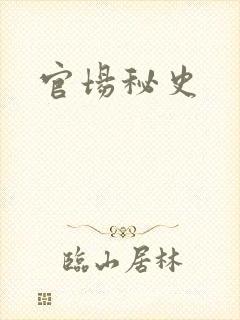 官场秘史