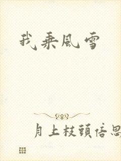 我乘风雪