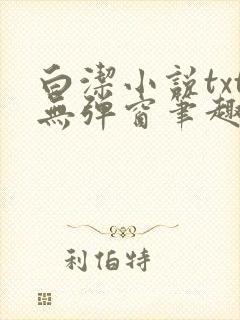 白洁小说txt无弹窗笔趣阁