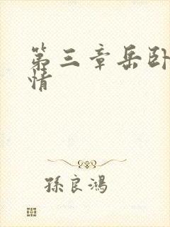 第三章岳卧室激情