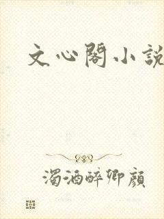 文心阁小说