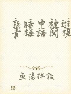 熟睡中被进了H青梅诱哄视频