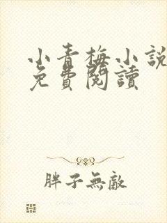 小青梅小说全文免费阅读