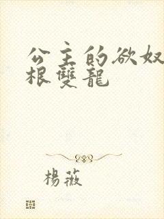 公主的欲奴h四根双龙