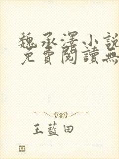 魏承泽小说全文免费阅读无弹窗笔趣