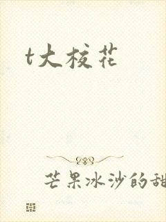 t大校花