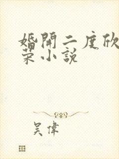 婚开二度欣欣向荣小说