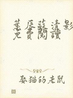 叶辰苏清影全文免费阅读