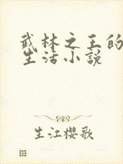 武林之王的退隐生活小说