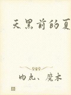 天黑前的夏天