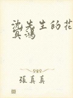 沈先生的花式调冥鸿