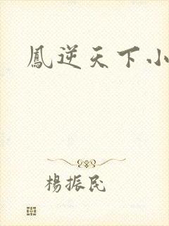 凤逆天下小说