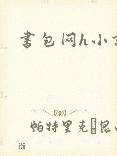 书包网h小说