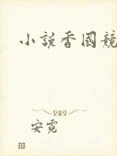 小说香国竞艳